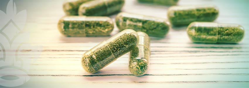 Die 8 Besten Tipps Für Das Microdosing Von Cannabis